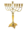 חנוכיה מוזהבת - דגם "אבי מלכות